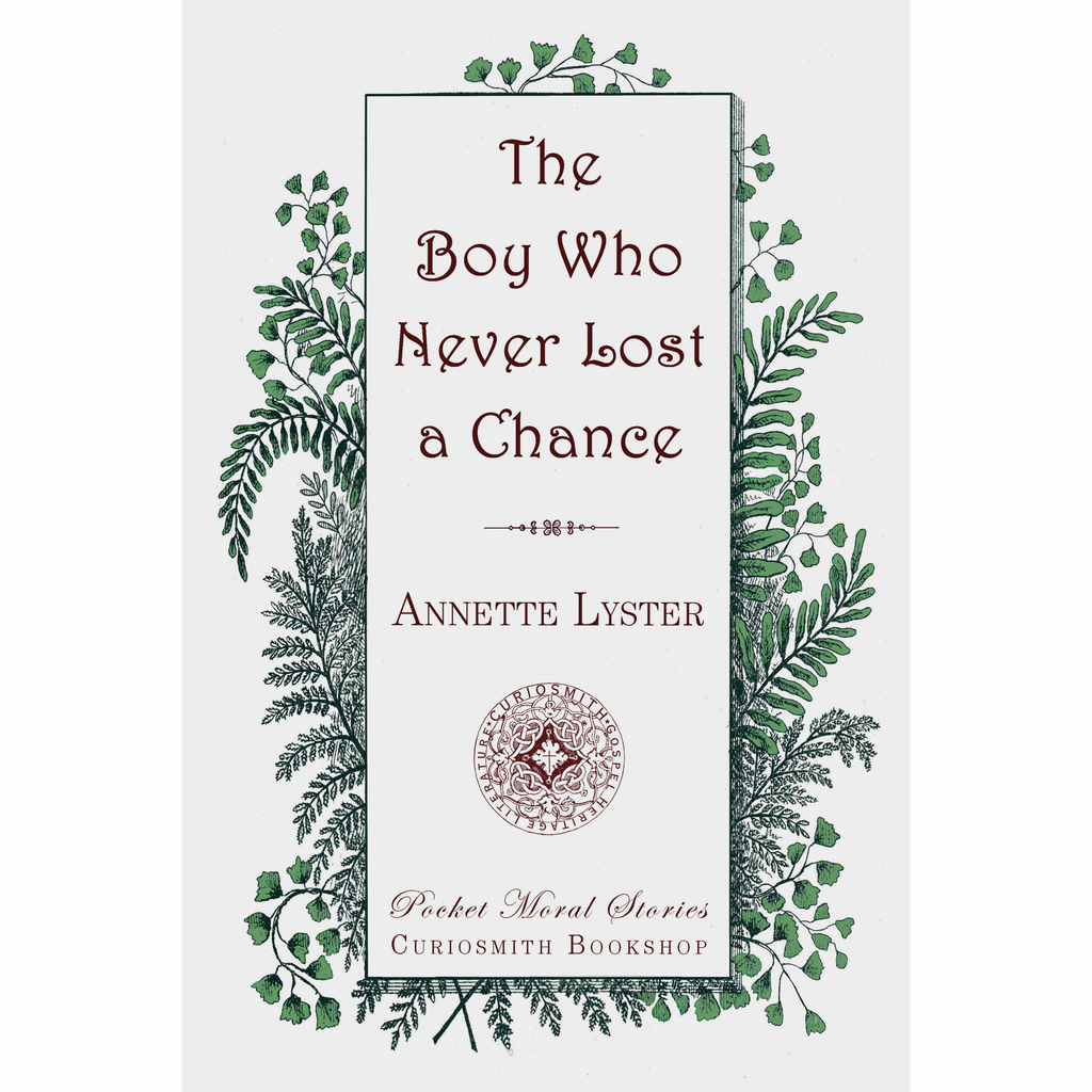 The Boy Who Never Lost a Chance by Annette Lyster