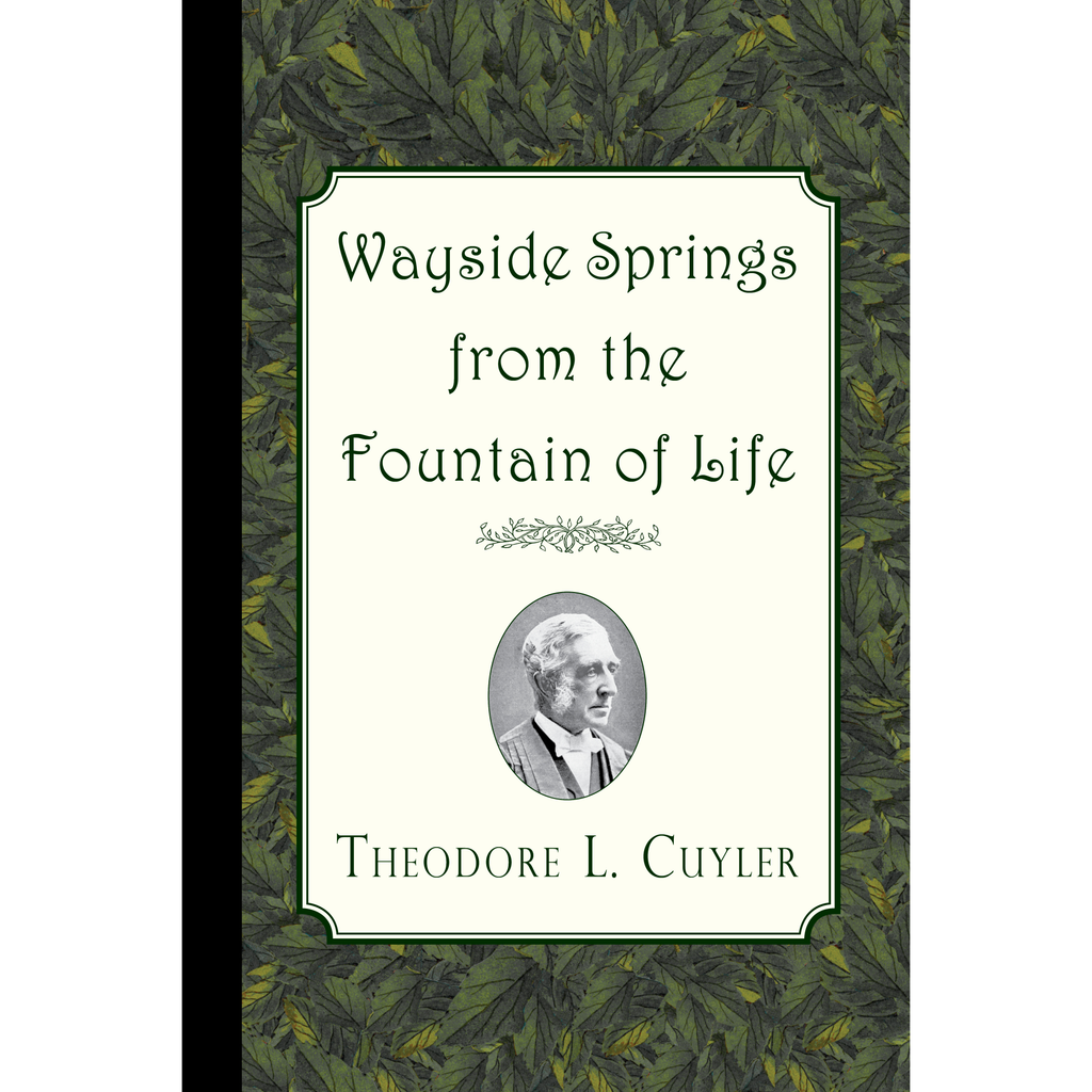 Wayside Springs from the Fountain of Life by Theodore L. Cuyler